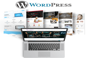 the theme without downloading WordPress